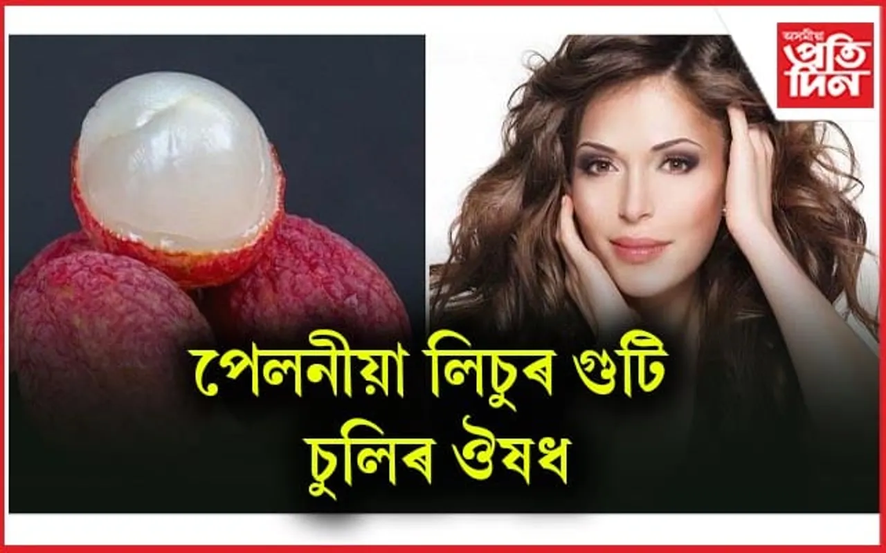 এতিয়াৰে পৰা লিচুৰ গুটি আৰু পেলাই নিদিব